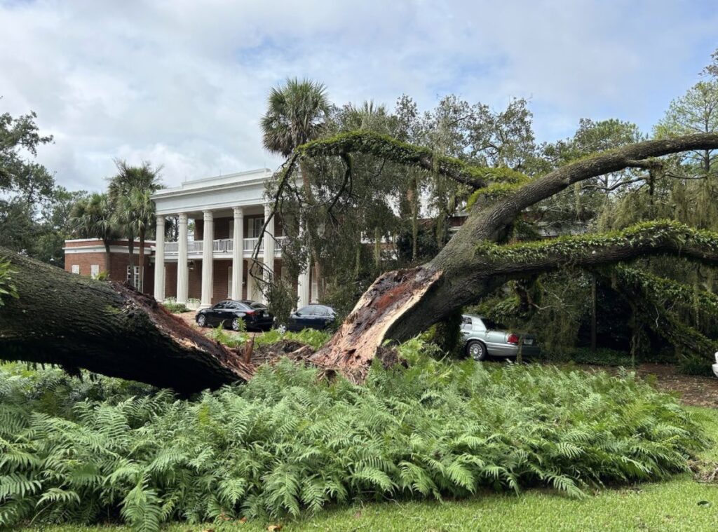 Un árbol de 100 años cayó en la casa del gobernador de Florida durante el paso de Idalia