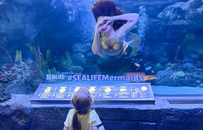 Vuelven las sirenas al Sea Life Orlando Aquarium
