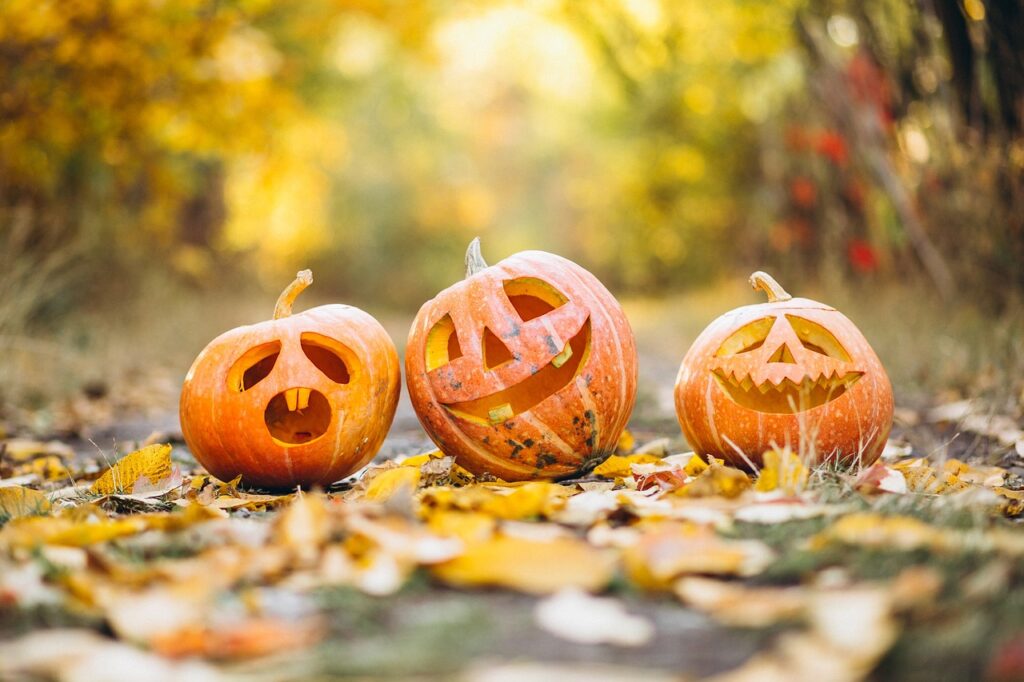 Regresa la Winter Garden Halloween Experience