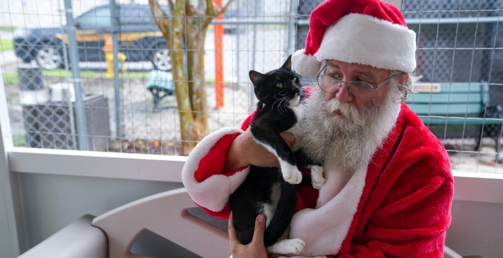 Servicios para Animales del Condado de Seminole organiza recaudación de fondos Naughty List