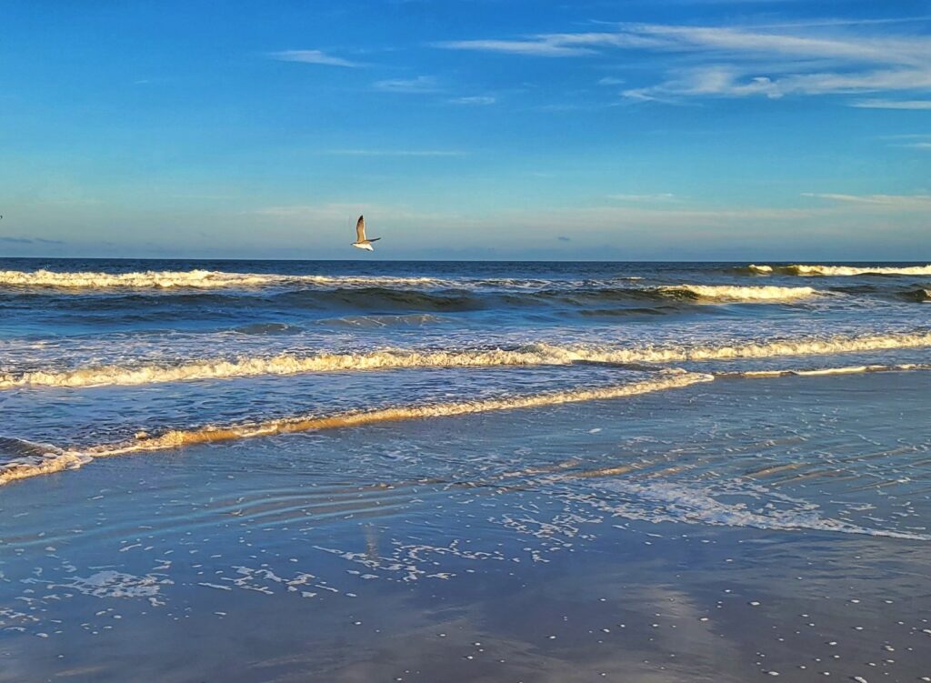NWS emite advertencias de inundaciones costeras para los condados de Volusia, Indian River y Brevard