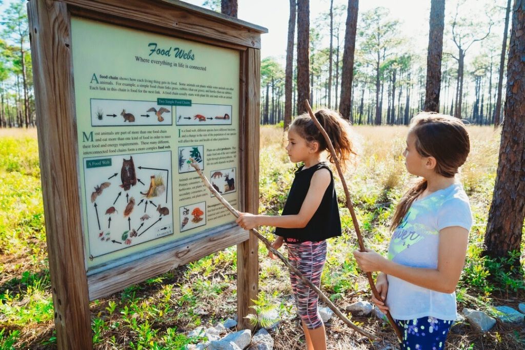 Ofrecen becas a estudiantes como incentivo para promover la exploración de los Parques Estatales de Florida