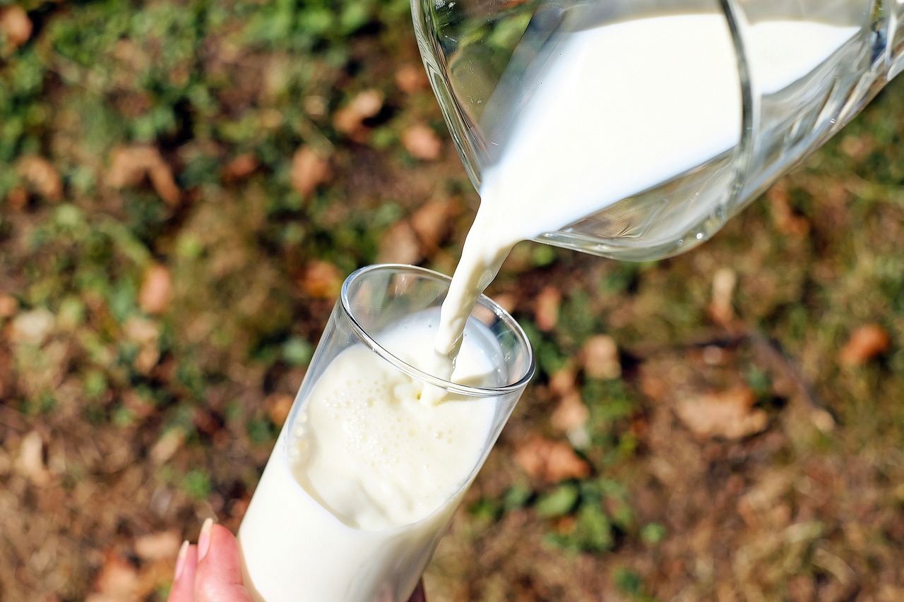 FDA alerta sobre la venta y el consumo de leche cruda tras brote de influenza aviar en ganado lechero