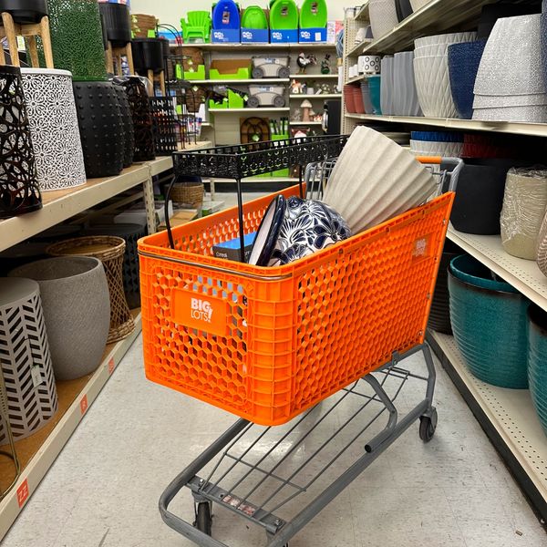 Big Lots cierra 315 tiendas en todo EEUU