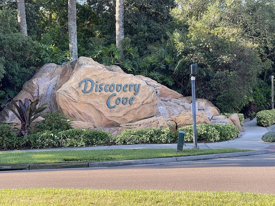 Investigan la muerte de un hombre que fue encontrado inconsciente en piscina de Discovery Cove Orlando