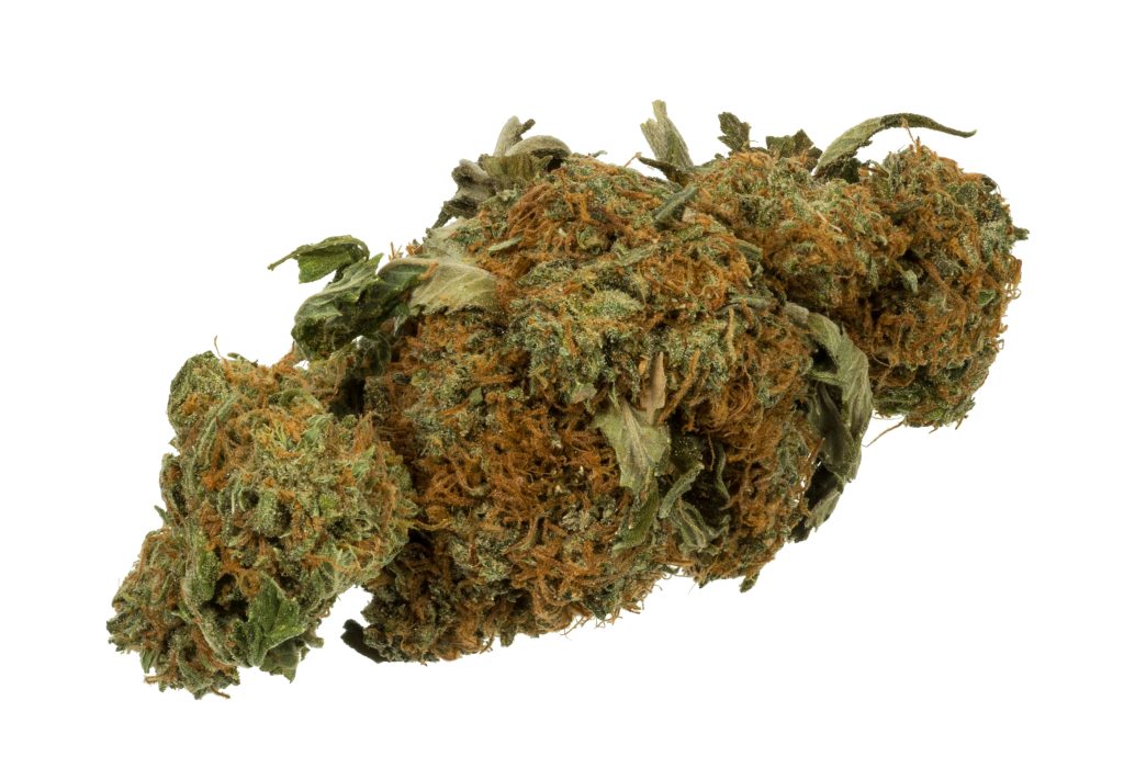 Consumo de cannabis y alucinógenos en EEUU alcanzó máximos históricos en 2023, según un estudio