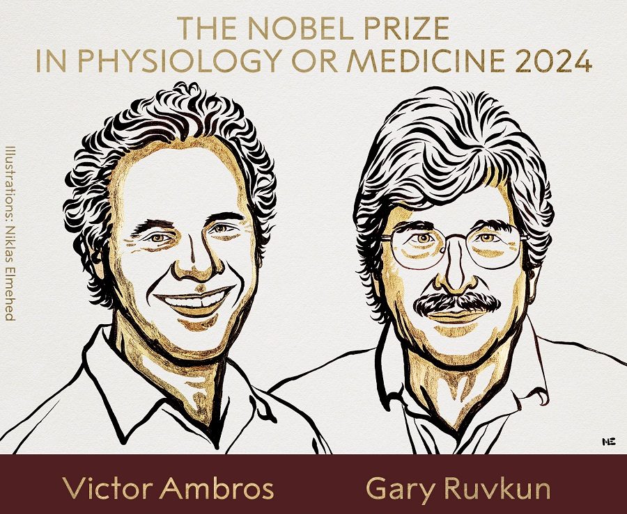Biólogos estadounidenses ganan el Nobel de Medicina 2024 por su descubrimiento del microARN