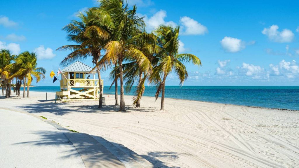 Cabeza humana llega a una playa de Key Biscaine