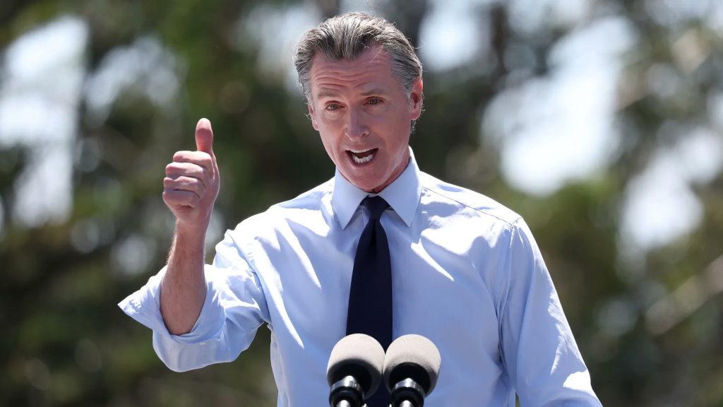Gobernador de California declara estado de emergencia tras la propagación de la gripe aviar