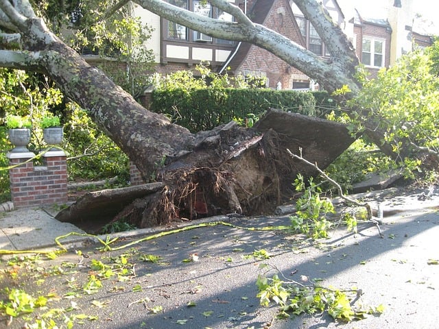 Condado de Seminole organiza simulacro de tornado