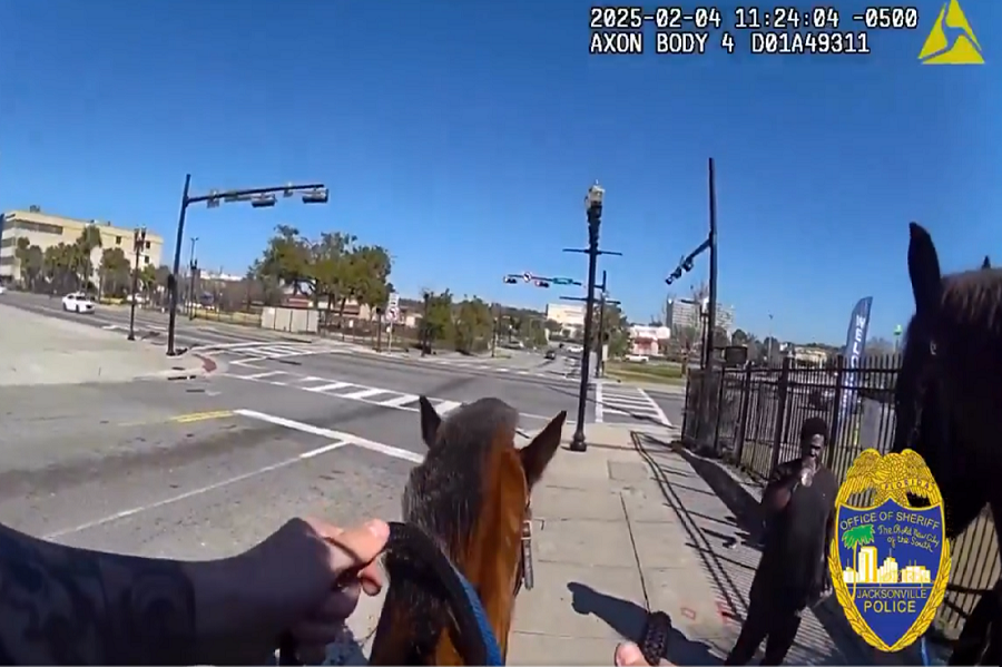 (+Video) Persecución policial a caballo en Jacksonville termina con sospechoso en la cárcel