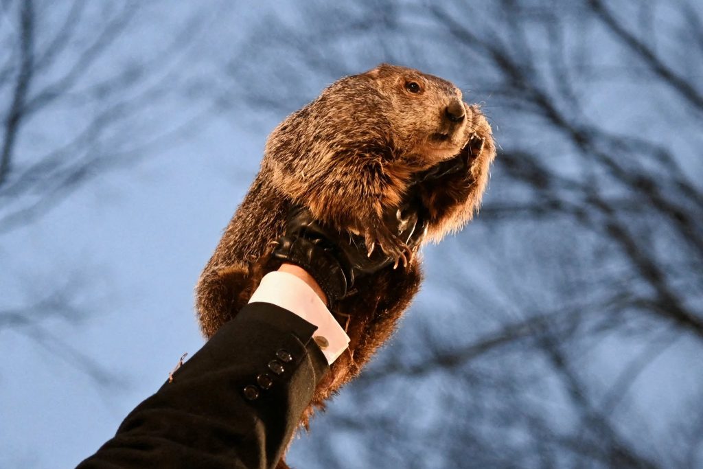 Se esperan 6 semanas más de clima invernal, según la marmota Punxsutawney Phil
